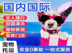 尧都机场货运国际宠物托运 【国